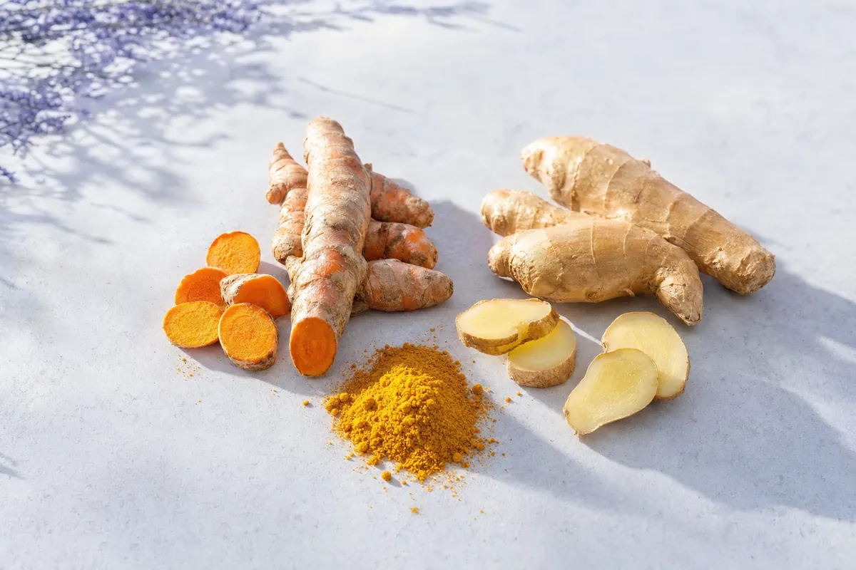 Fresh turmeric and ginger roots with turmeric powder on light stone surface